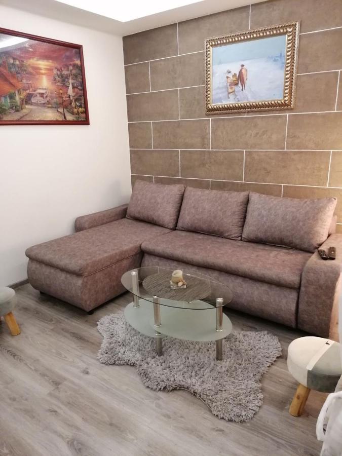 Epi Lux House Apartment Zemun Bagian luar foto